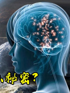 大脑存在两个声音切断左脑和右脑的联系，背后隐藏着什么秘密