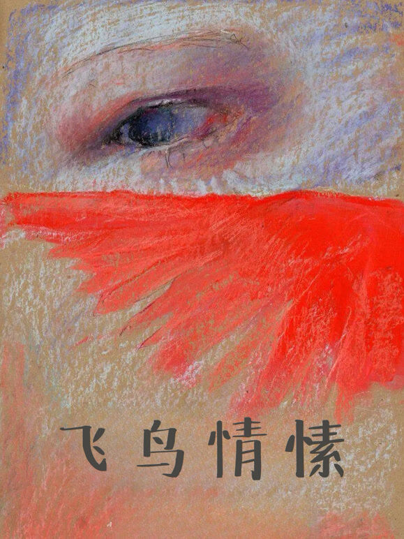 飞鸟情愫