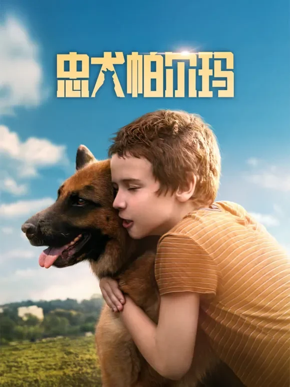 忠犬帕尔玛电影海报
