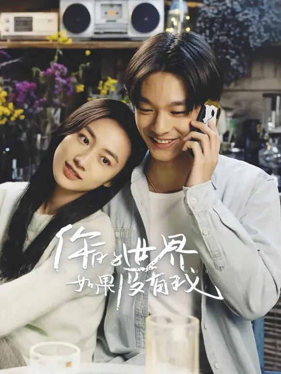 你的世界如果没有我电影海报