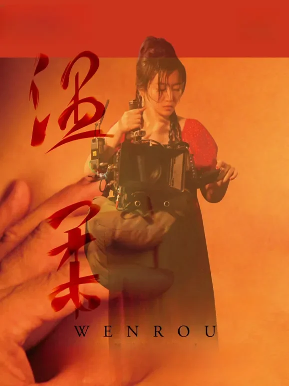温柔电影海报