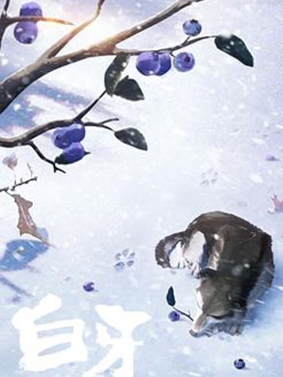 白牙（普通话）