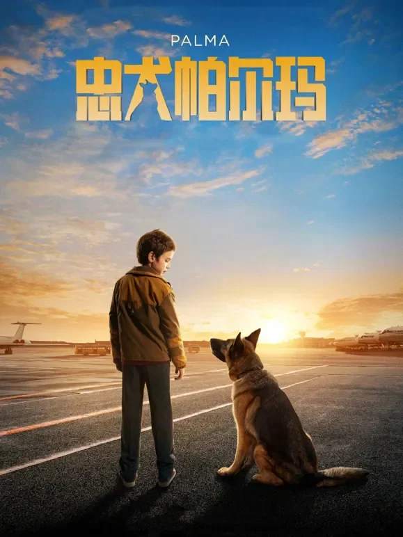 忠犬帕尔玛（普通话）电影海报