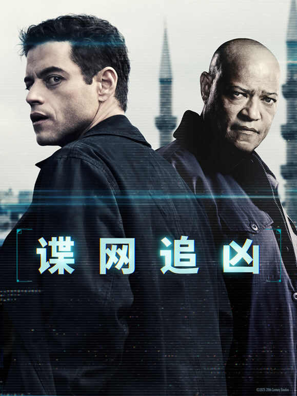 谍网追凶