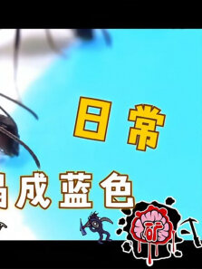 蚂蚁集体喝糖水，把肚子喝成了蓝色（宠物蚂蚁）