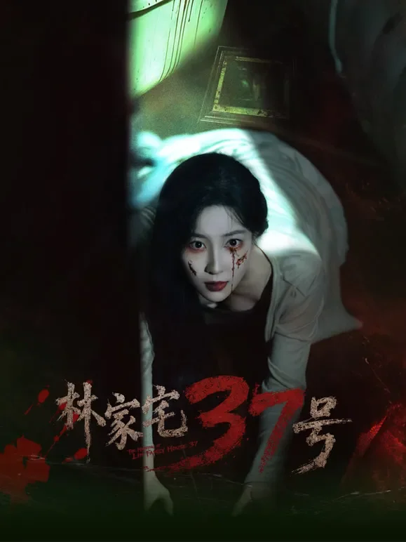 林家宅37号电影海报
