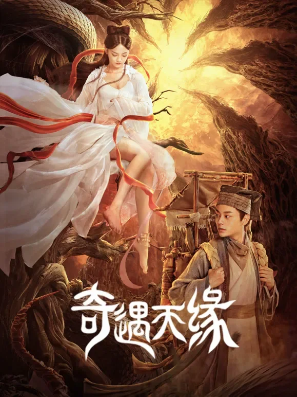 奇遇天缘电影海报