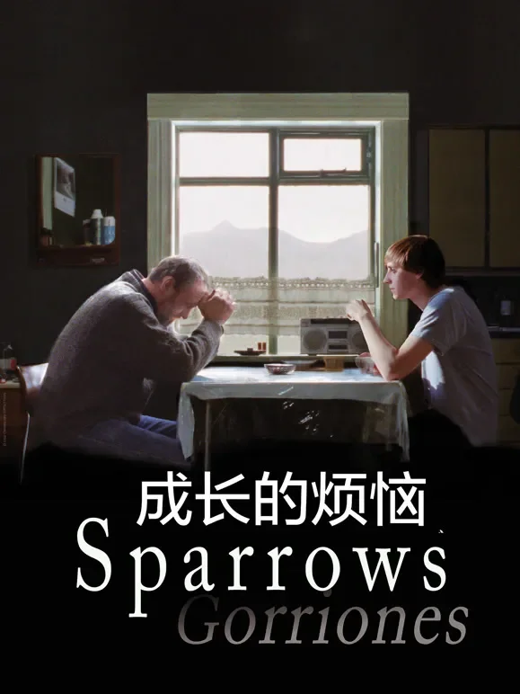 成长的烦恼（普通话）电影海报