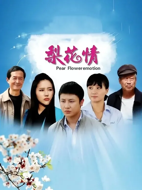 梨花情电影海报
