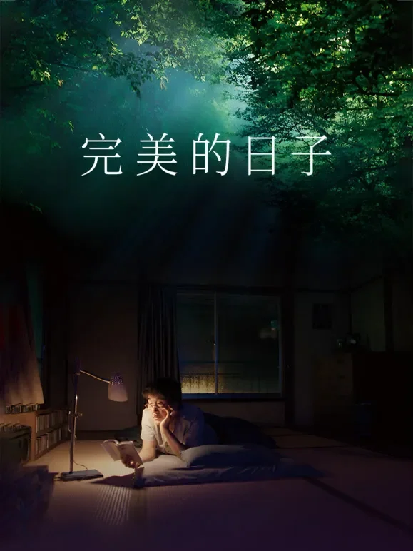 完美的日子（普通话）电影海报