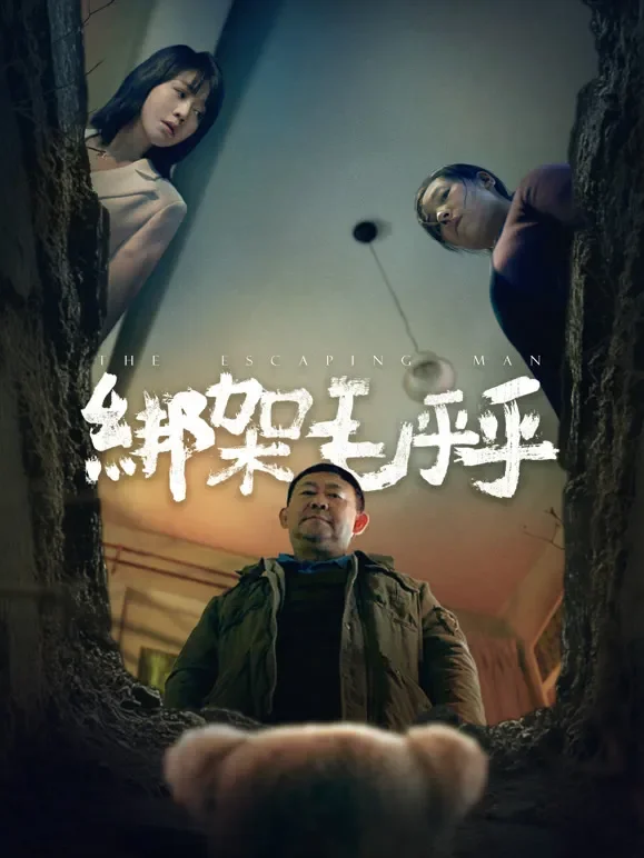 绑架毛乎乎电影海报