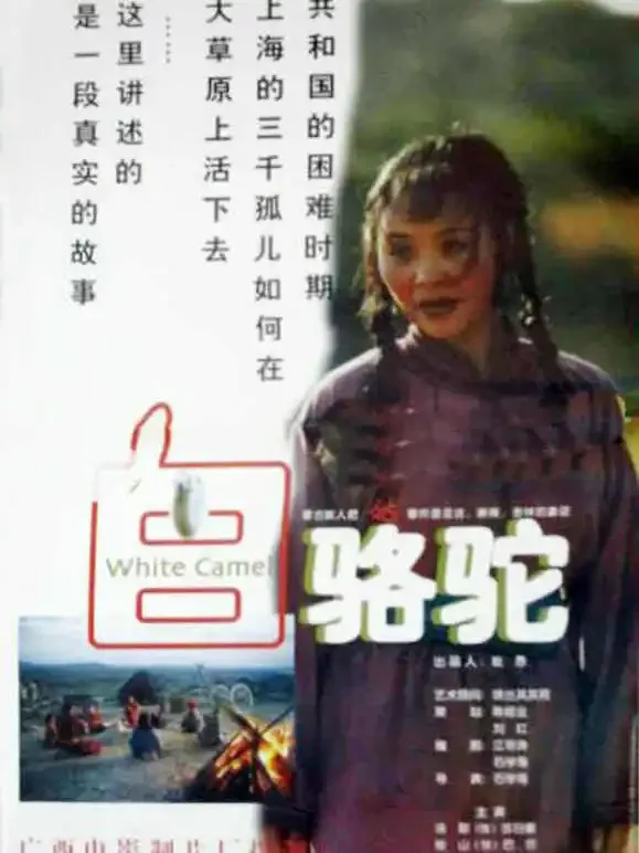白骆驼电影海报