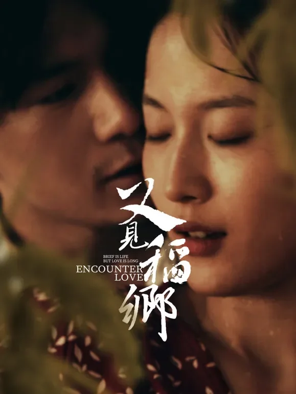 又见稻乡电影海报