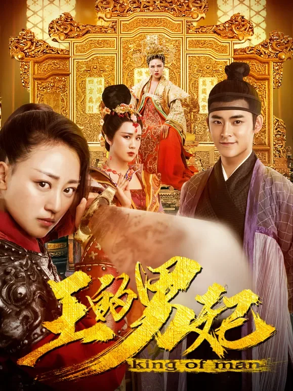 王的男妃电影海报