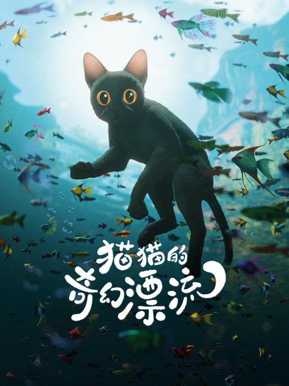 猫猫的奇幻漂流