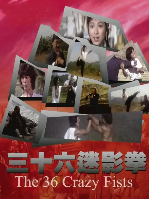 三十六迷形拳电影海报