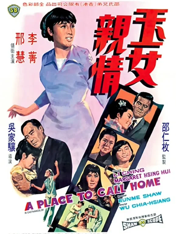 玉女亲情电影海报