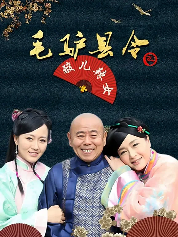 毛驴县令之酸儿辣女电影海报