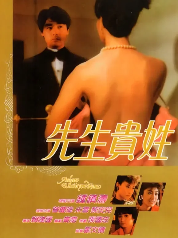 先生贵姓电影海报