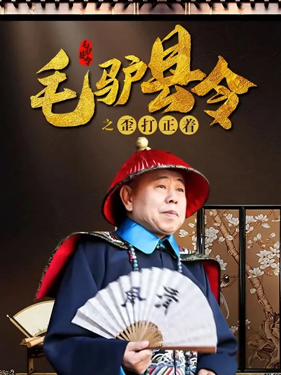毛驴县令之歪打正着电影海报