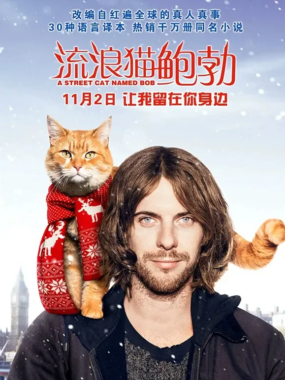 流浪猫鲍勃电影海报