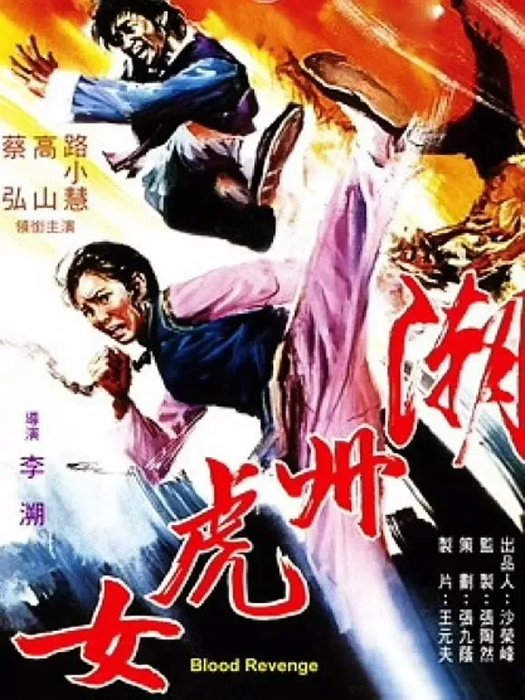潮州虎女电影海报