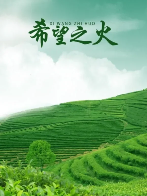 希望之火电影海报