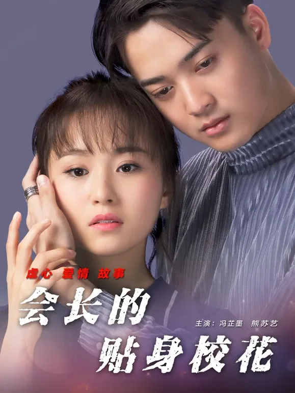 会长的贴身校花电影海报