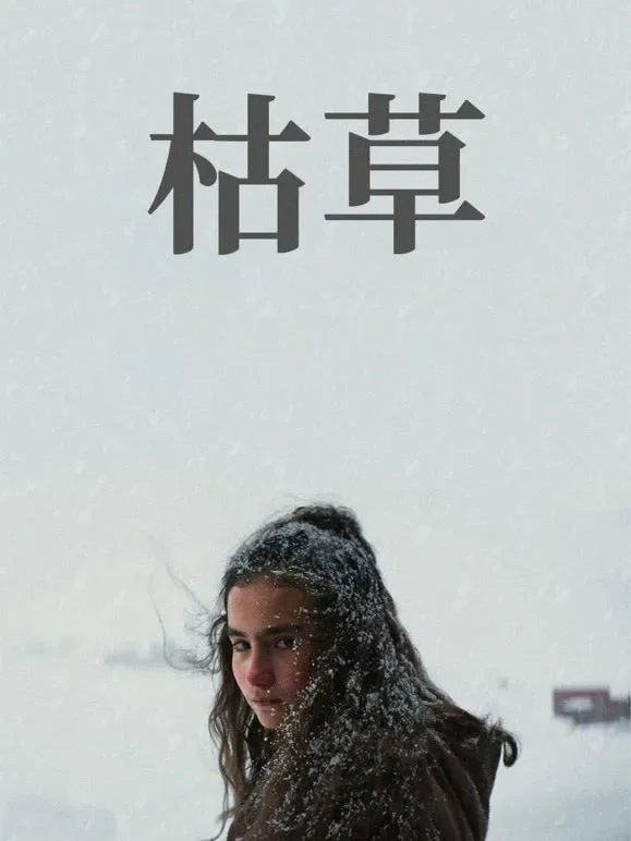 枯草电影海报