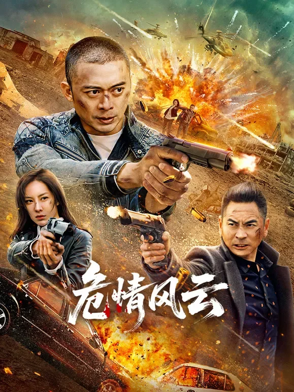 危情风云电影海报