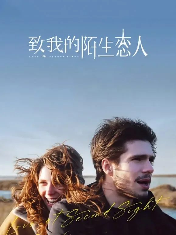 致我陌生的恋人（普通话）电影海报