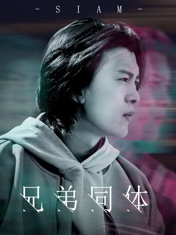兄弟同体电影海报