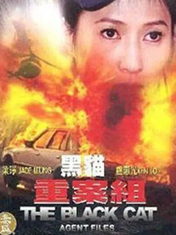 黑猫重案组电影海报