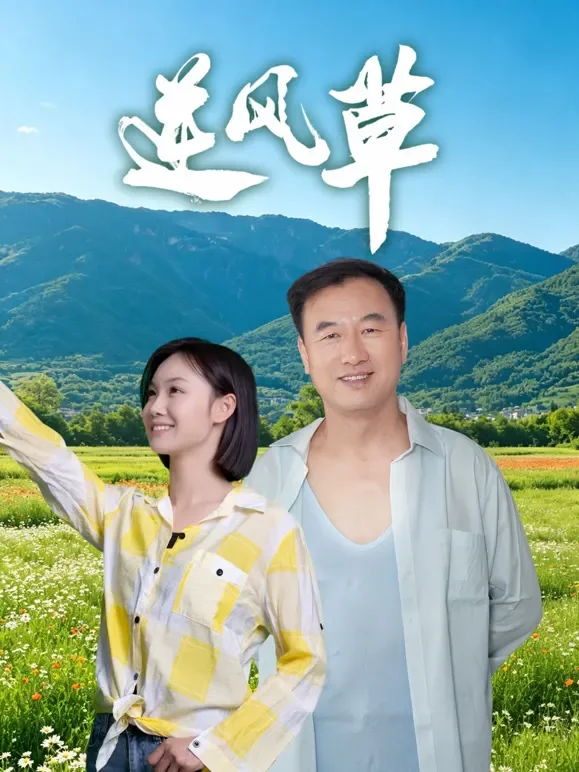逆风草电影海报