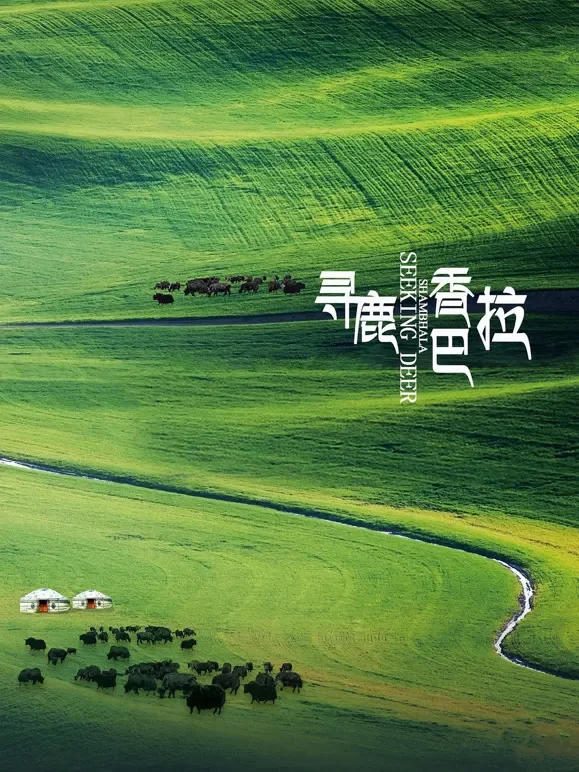 寻鹿香巴拉电影海报