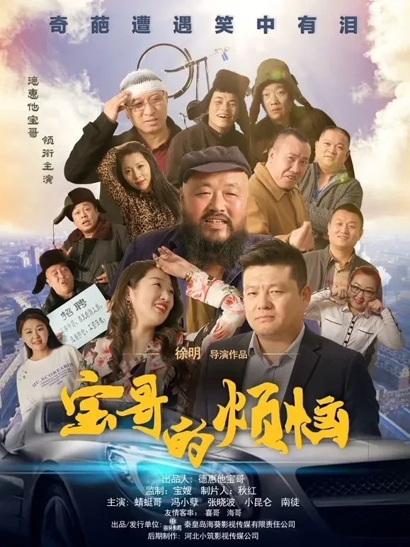 宝哥的烦恼电影海报
