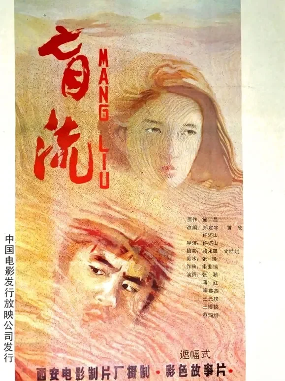 盲流电影海报
