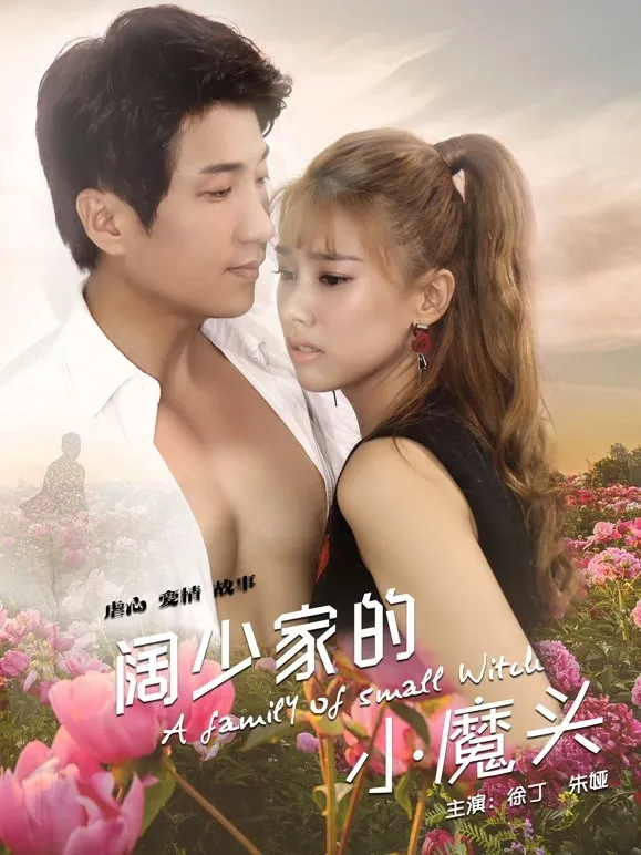 阔少家的小魔头电影海报