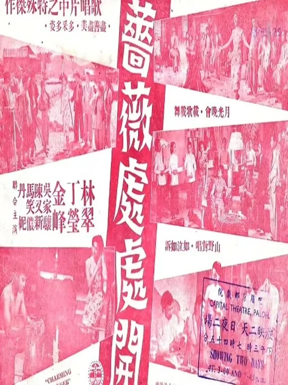 蔷薇处处开电影海报