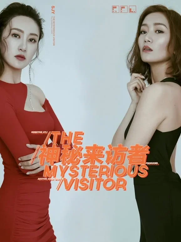神秘来访者电影海报