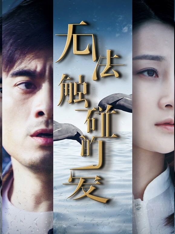 无法触碰的爱