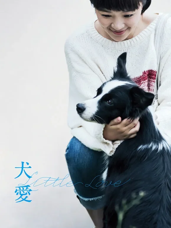 犬爱电影海报