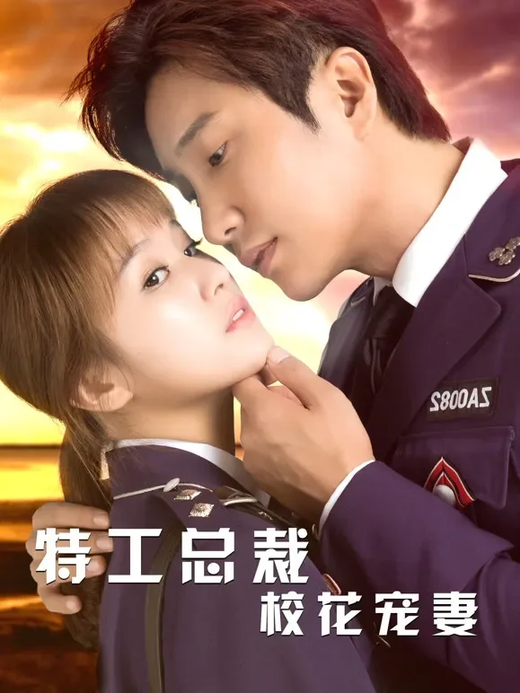 特工总裁校花宠妻电影海报