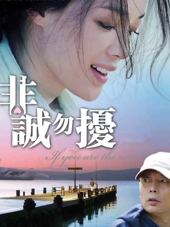 非诚勿扰（粤语）电影海报