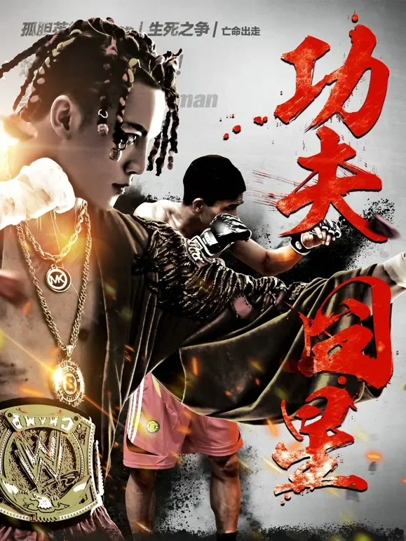 功夫囧星电影海报