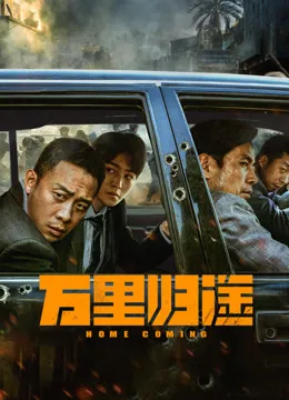 万里归途电影海报