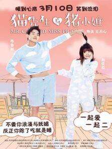 猫先生与猪小姐