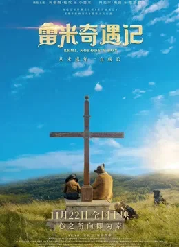 雷米奇遇记（普通话）电影海报