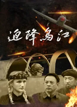 迫降乌江电影海报