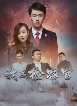 我是检察官电影海报